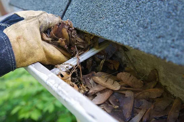 Gutter Cleaning Service