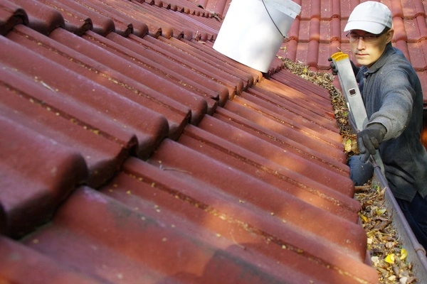 Roof Cleaning