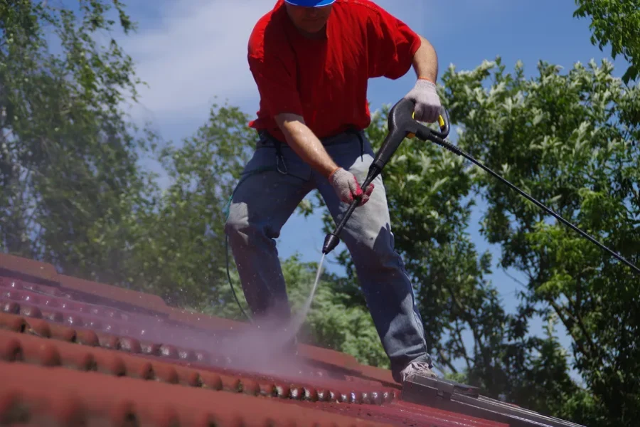 How Mold Growth Starts With Dirty Gutters Williamsburg, VA
