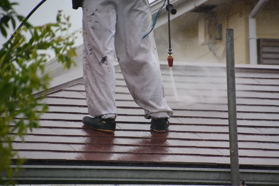 How Mold Growth Starts With Dirty Gutters in Williamsburg, VA