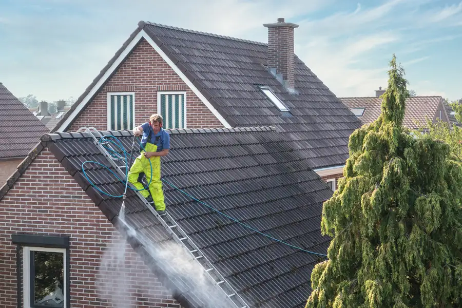 How Soft Washing Protects Roof Shingles From Algae Growth Williamsburg, VA